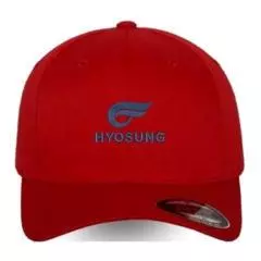 Hyosung Flexfit Caps