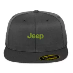 Jeep-Snapback