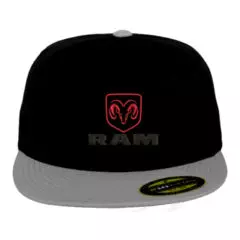 RAM-Snapback