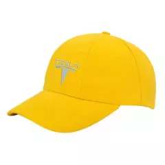 Tesla-Unie cap